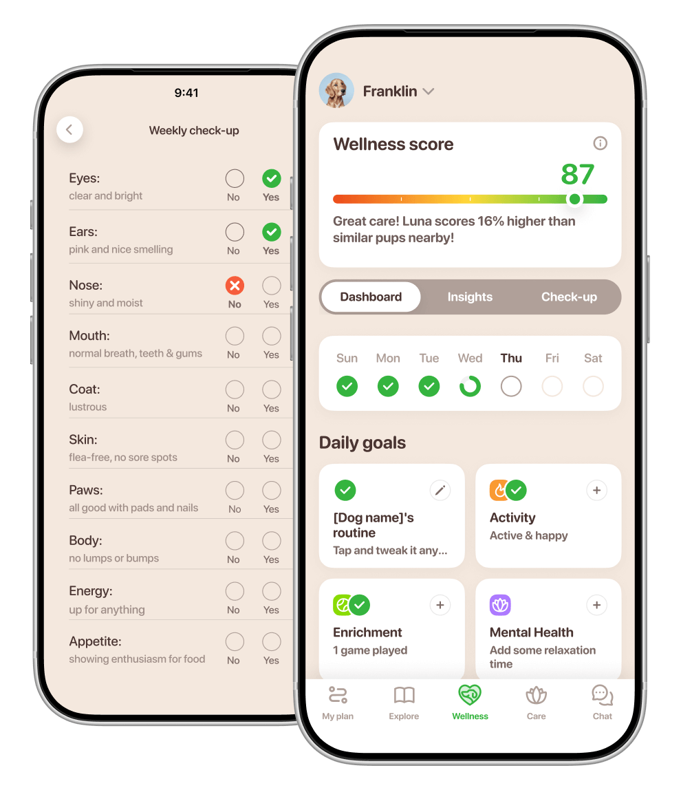 dog care app